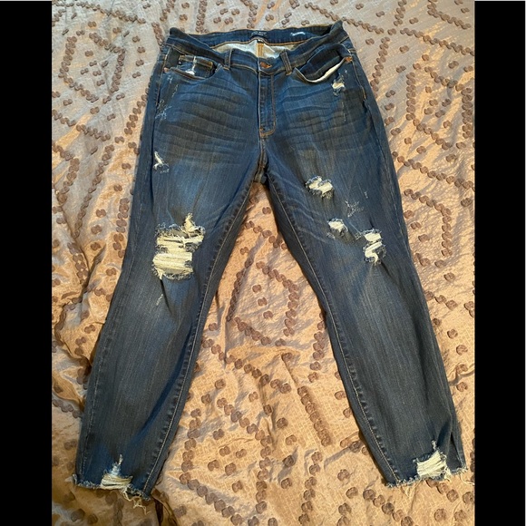 judy blue plus size jeans